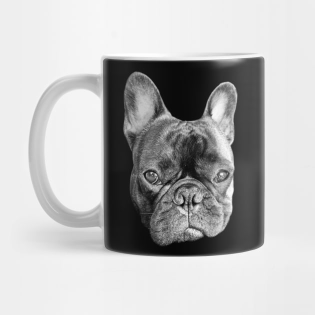serious french bulldog puppy by Teeject